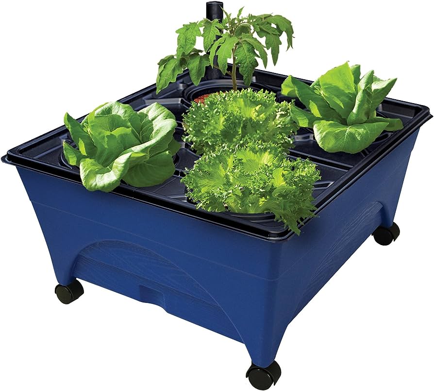 Amazon's best-selling hydroponic gear Find the highest-rated hydroponic gear on Amazon and take your gardening to new heights. Shop now for the best tools and accessories available.