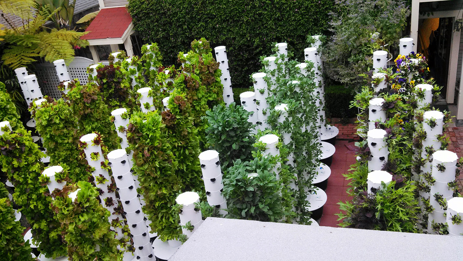 Say goodbye to traditional gardening methods and embrace the future with aeroponic tower gardening. Overcome obstacles and reap the rewards!