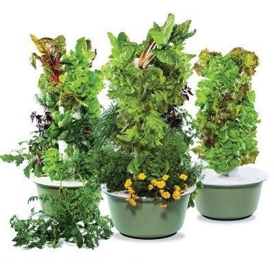 Dive into the world of aeroponic tower gardening and learn how to overcome obstacles for a thriving garden. Fresh, healthy produce awaits you!