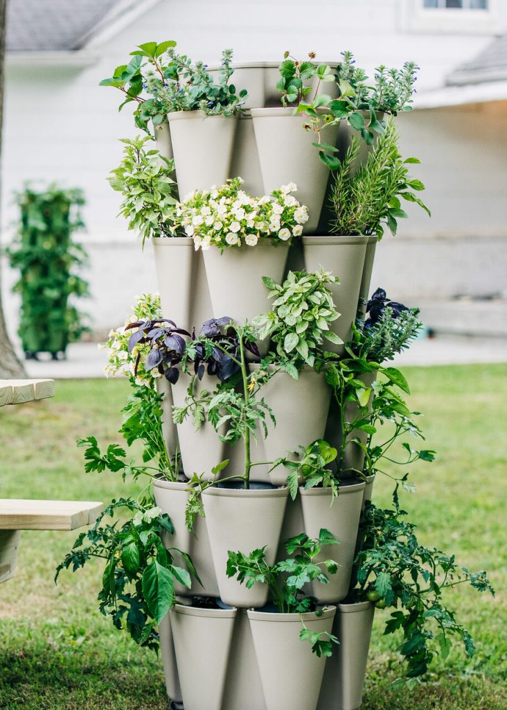Uncover the secrets of successful Aeroponic Tower Gardening and learn how to overcome common obstacles with our proven solutions. Start growing your own food today!