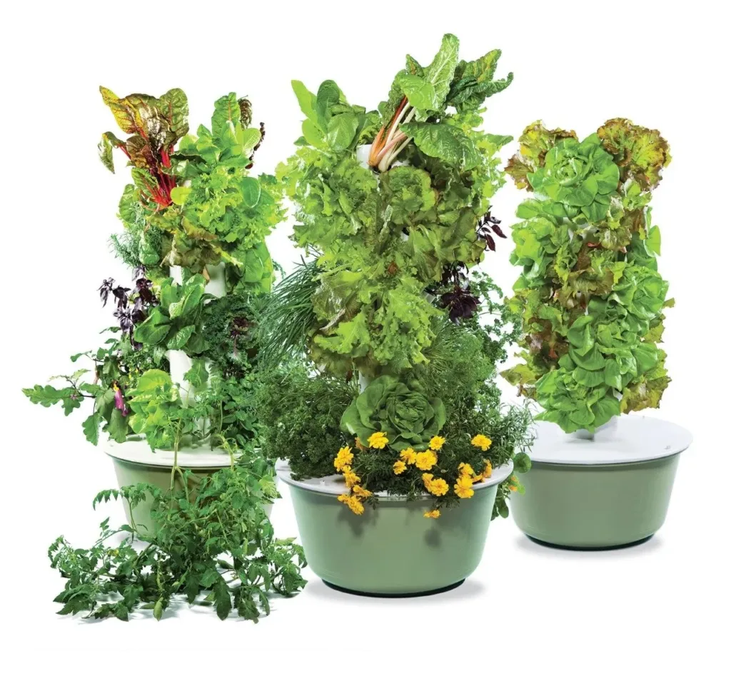 A Step-by-Step Guide to Building Your Own Aeroponic Tower Garden